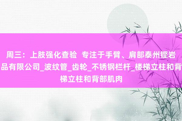 周三：上肢强化查验  专注于手臂、肩部泰州铿岩金属制品有限公司_波纹管_齿轮_不锈钢栏杆_楼梯立柱和背部肌肉